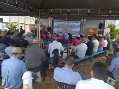 Dia de Campo da Coprossel teve uma Ã³tima participaÃ§Ã£o dos associados